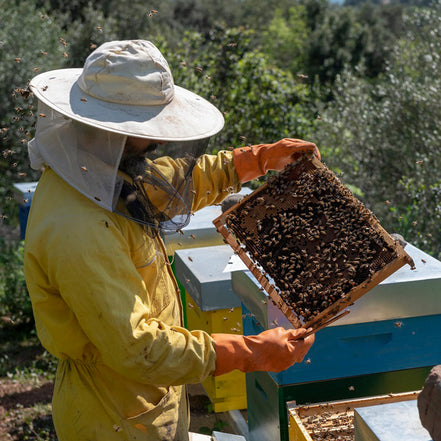Bio Honig "Millefiori" 250g - Bio