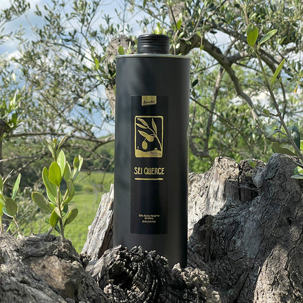 SeiQuerce 1l - Ernte 2025